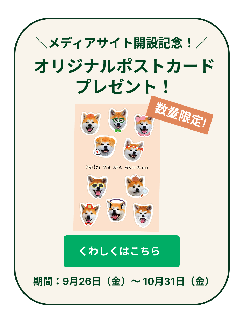 ポストカード
