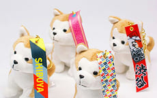 ハチふる - SHIBUYA meets AKITA -