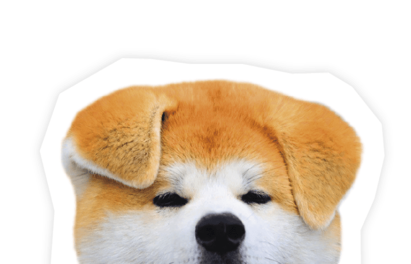 リサラーソン限定秋田犬Akitainu Lisalarsonハチ公hachi リサラーソン限定秋田犬Akitainu Lisalarsonハチ公hachi - メルカリ