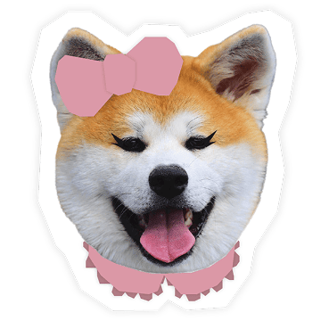 img_wanko-satomi.png?t=