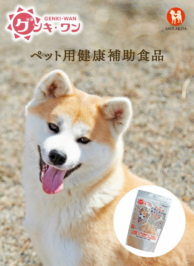 ゲンキ・ワン300g 健康補助食品　【小型犬・中大型犬　両用】