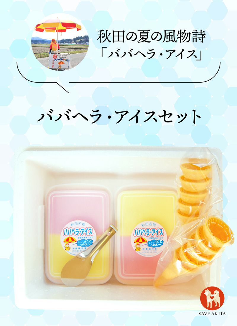 ★パキラ★　秋の味覚、果物、リスさん 観葉植物 パキラ 8号 ねじり ラッシュバスケット Natural 付き