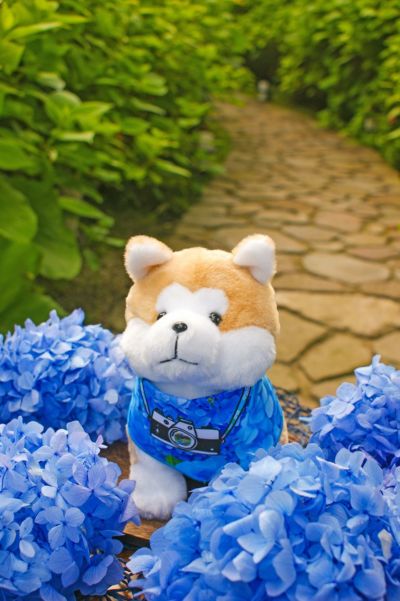 萌星 ぬいぐるみバッグ 千秋 Amazon.co.jp: [YUYAKESHI] 痛バ 見せバッグ ショルダーバッグ
