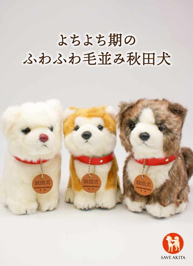 日本犬 ZXK 1:6 スケール日本の秋田犬ペットフィギュア癒し動物