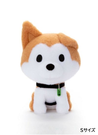 Hachi&Shibuya | ハチふる SHIBUYA meets AKITA