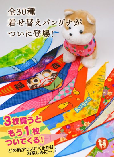 ONE FOR AKITA ワンアクション・メンバーズ ライト / 1口 | ハチふる