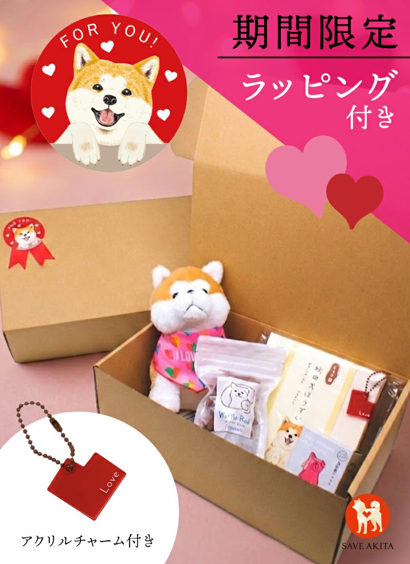 特別セット画像1